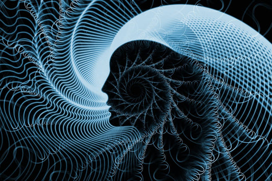 2025年9月｜皆既月食と秋分新月が導く“共生の月” ：共生から始まる魂の覚醒