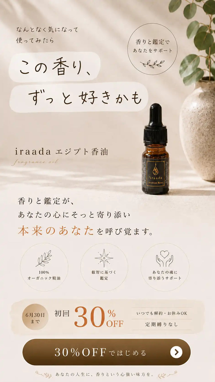 テキスト