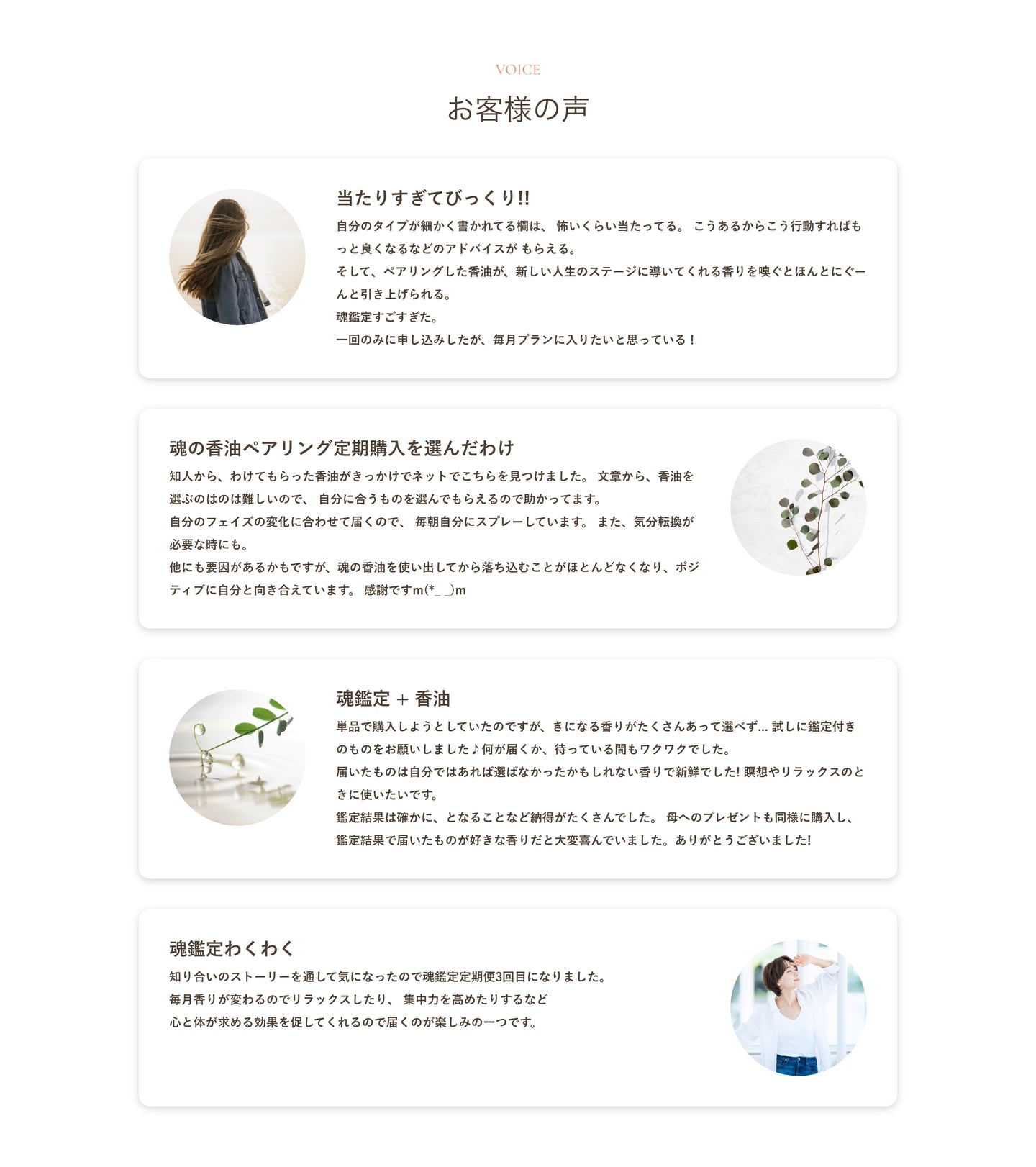 テキスト