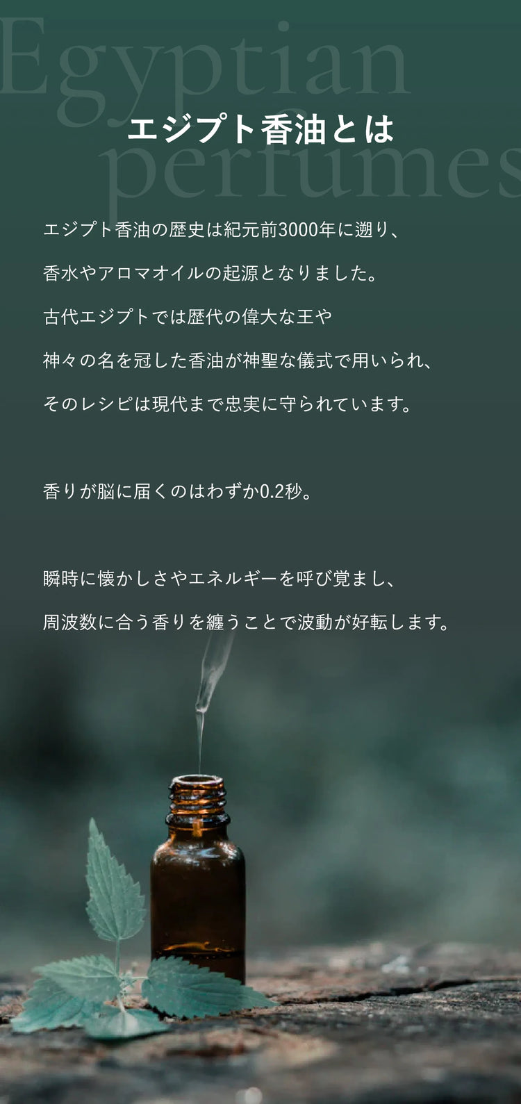 エジプト香油の説明。